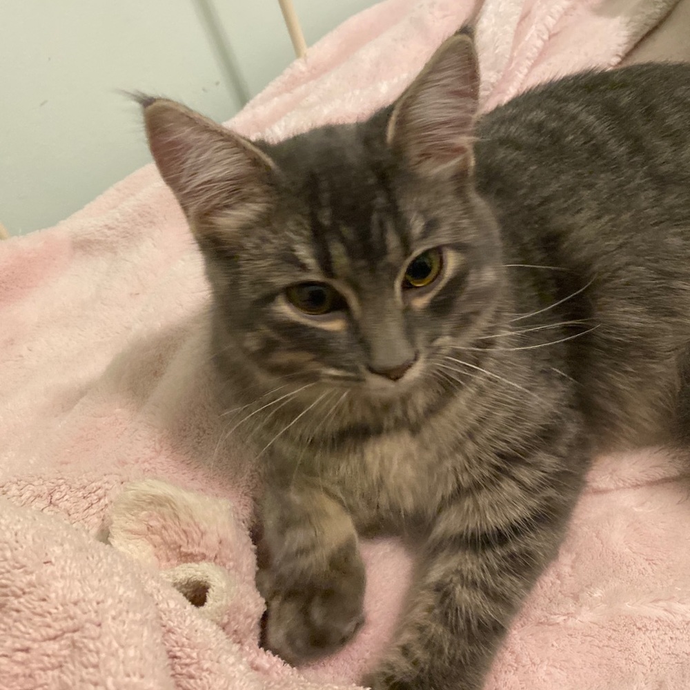 Meet your Posher, Danielle